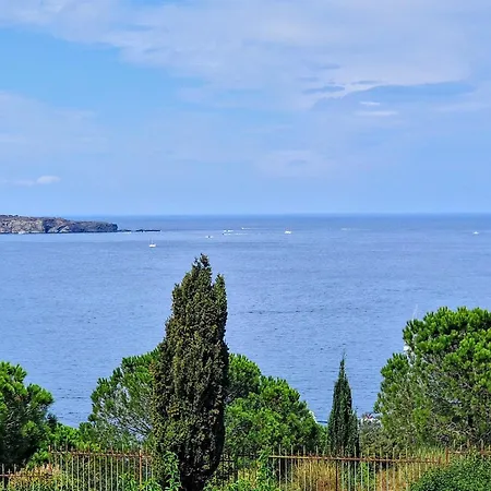 Studio-mezzanine A Avec Terrasse Et Parking Privatif - Fr-1-309-90 Apartment Banyuls-sur-Mer